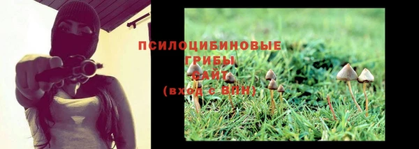 соль ск Лиски