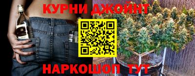 ешки Гатчина