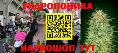 экстази Гай