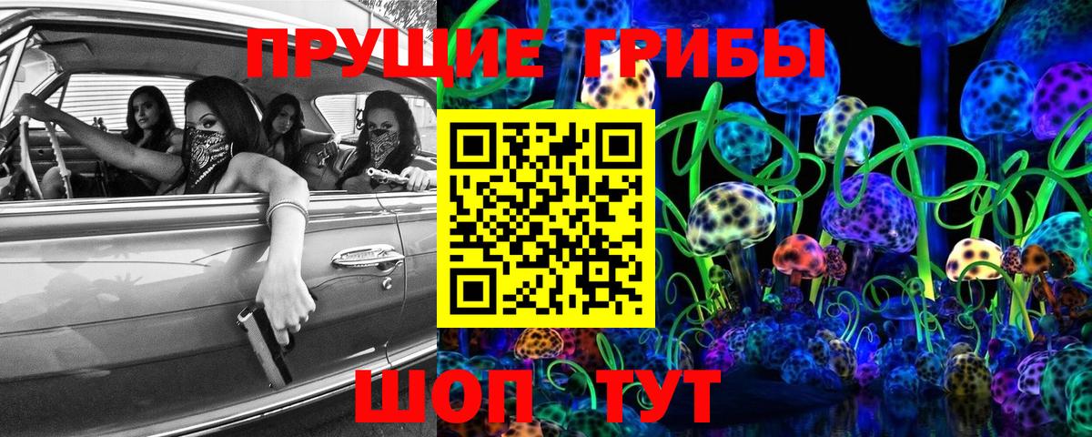 наркота  Ковров  Псилоцибиновые грибы Psilocybe 
