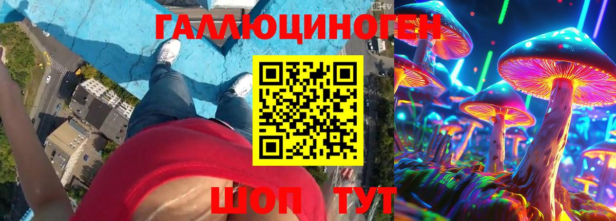 Галлюциногенные грибы Psilocybe Ковров