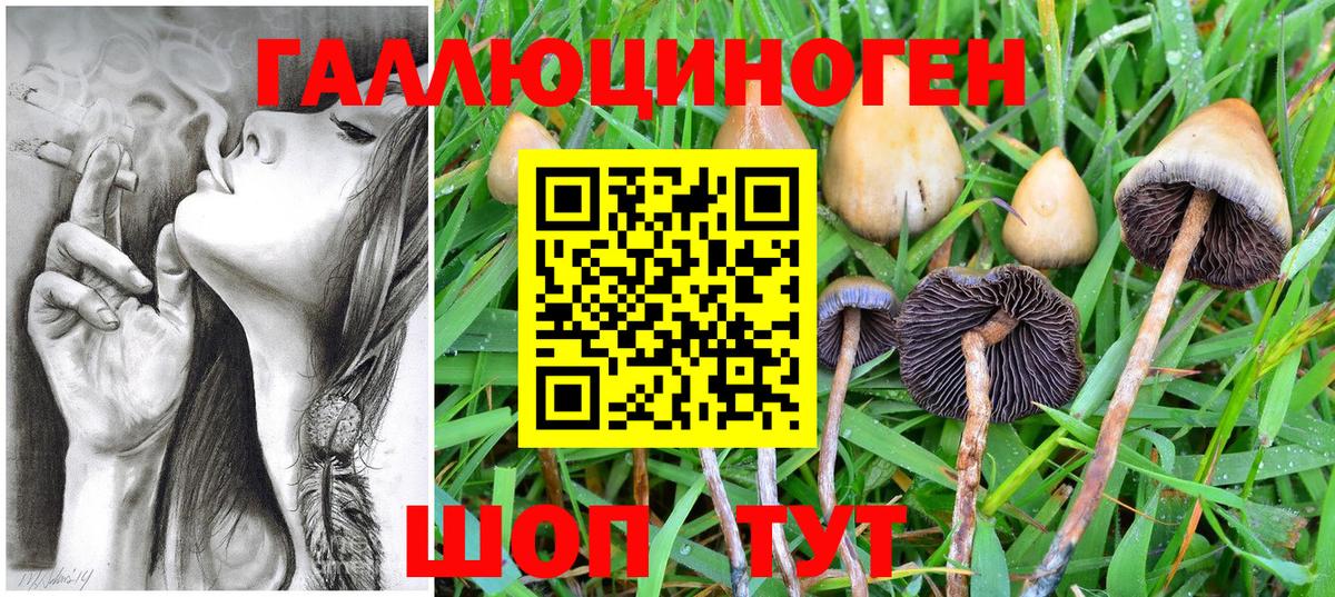 Псилоцибиновые грибы прущие грибы  Псилоцибиновые грибы мухоморы  купить   Ковров  Вход с VPN 