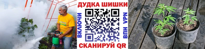где можно купить MEGA сайт Каннабис Amnesia Ковров